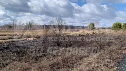 Участок в Тюменская область, Нижнетавдинский район, д. Штакульская  ...