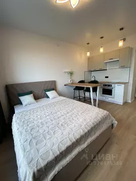 Студия Москва Дорожная ул., 46к3 (20.0 м)