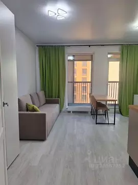 Студия Санкт-Петербург Парашютная ул., 71к2 (24.0 м)