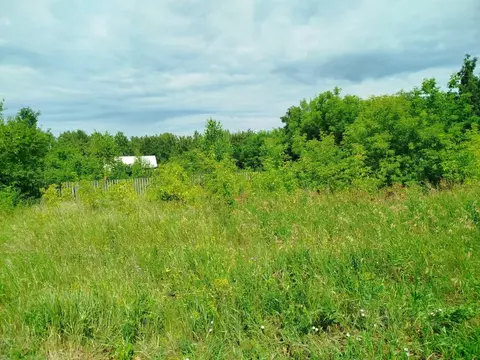 Участок в Омская область, Омск Березовая Роща СНТ,  (5.0 сот.)