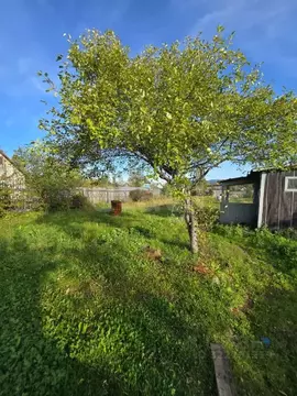 Дом в Хабаровский край, Комсомольский район, Галичное СНТ ул. Садовая, ...