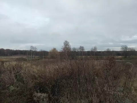 Участок в Московская область, Дмитровский муниципальный округ, пос. ...