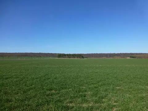 Участок в Калининградская область, Мамоновский городской округ, пос. ...