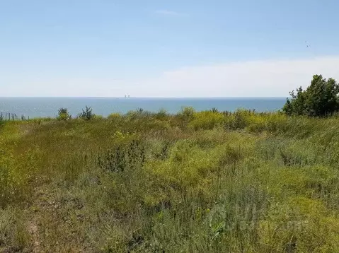 Участок в Ростовская область, Цимлянский район, Саркеловское с/пос, ...