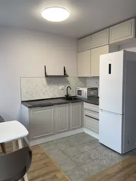 Студия Московская область, Балашиха Железнодорожный мкр, ул. ...