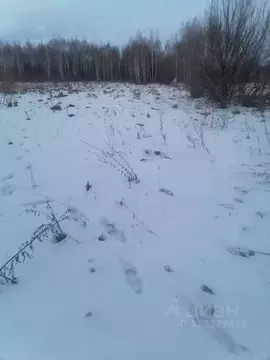 Участок в Липецкая область, Грязинский район, Плехановский сельсовет, ...