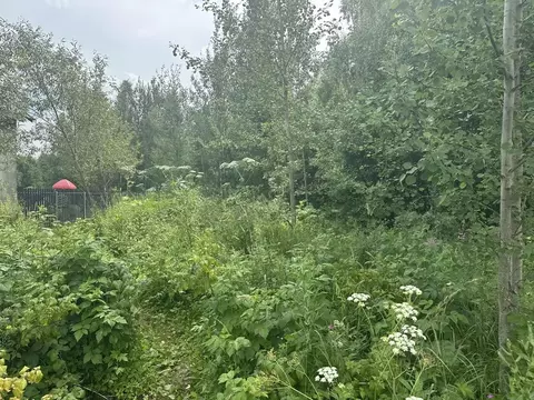 Участок в Московская область, Рузский муниципальный округ, д. Шелковка ...