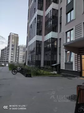 Студия Санкт-Петербург аллея Арцеуловская, 19 (25.0 м)