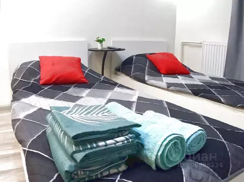 Студия Ленинградская область, Сертолово Всеволожский район, ...