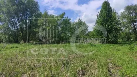 Участок в Воронежская область, Новоусманский район, Орловское с/пос, ...