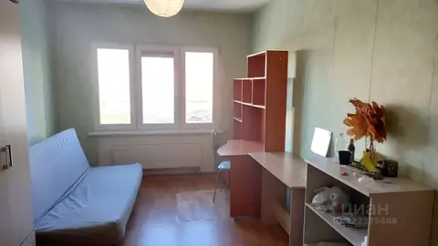 Комната Санкт-Петербург Дальневосточный просп., 8к1 (18.0 м)