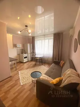 Студия Челябинская область, Челябинск ул. Профессора Благих, 63а (25.0 ...