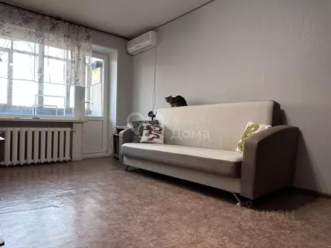 1-к кв. Волгоградская область, Волгоград Новодвинская ул., 17 (30.9 м)