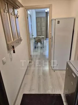 Студия Санкт-Петербург Комендантский просп., 66к3 (25.0 м)