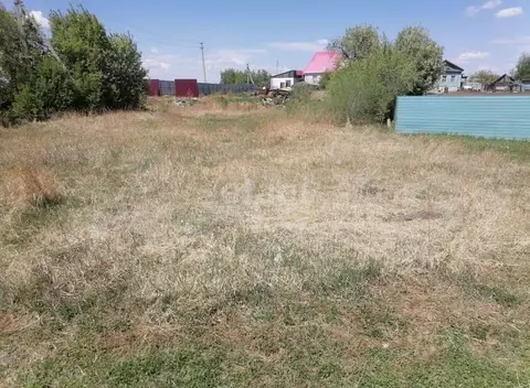 Участок в Амурская область, Благовещенский район, пос. Заречный  (6.7 ...