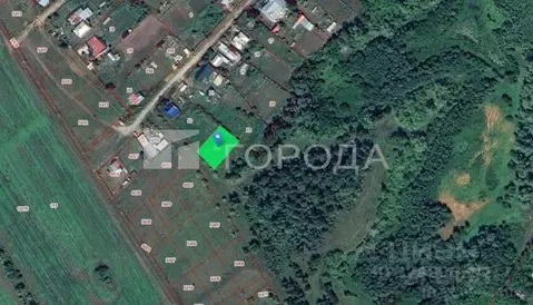 Участок в Алтайский край, Барнаул городской округ, пос. Черницк ул. ...