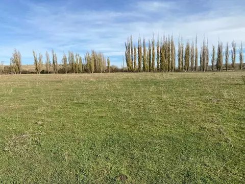 Участок в Севастополь с. Полюшко, ул. Александра Лавриченко (6.0 сот.)