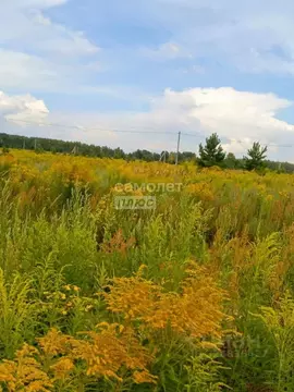 Участок в Рязанская область, Рязанский муниципальный округ, с. ...