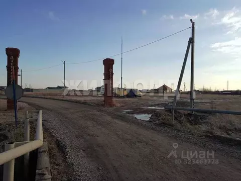 Участок в Новосибирская область, Новосибирский район, Толмачевский ...