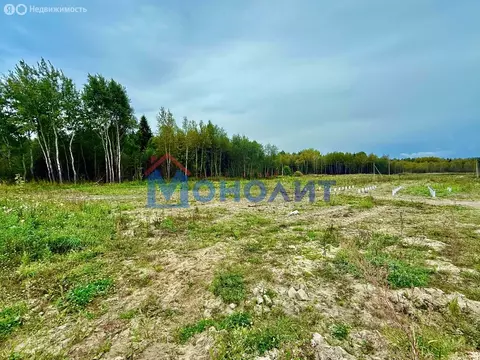 Участок в Ярославский муниципальный округ, деревня Кормилицино (15 м)