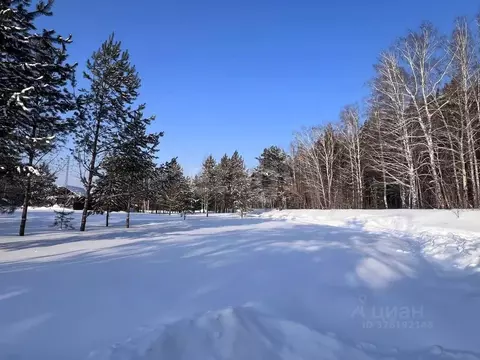 Участок в Новосибирская область, Новосибирский район, Барышевский ...