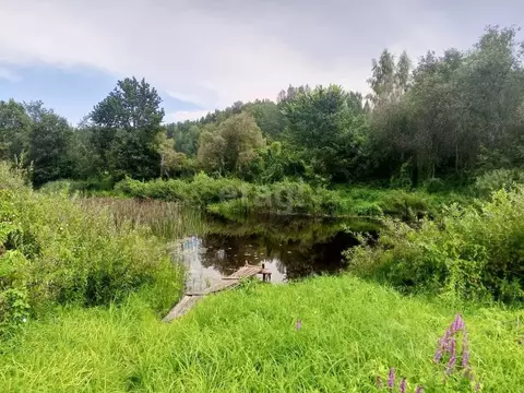 Участок в Псковская область, Пушкиногорский район, Велейская волость, ...