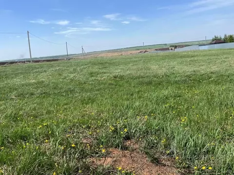 Участок в Татарстан, Нижнекамский район, Шереметьевское с/пос, с. ...