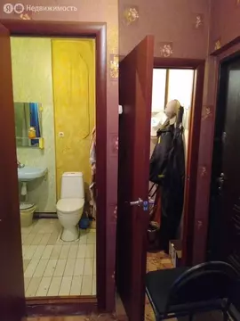 1-комнатная квартира: Новосибирск, Автогенная улица, 154/1 (31 м)