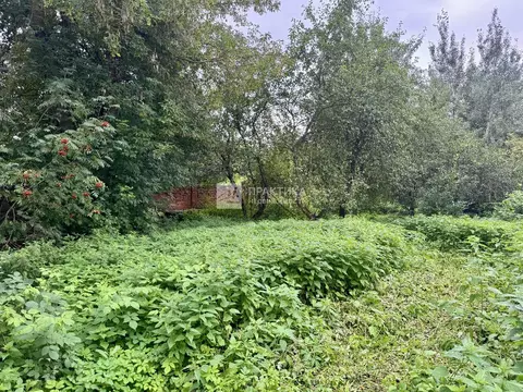 Продается участок в с. Немчиновка