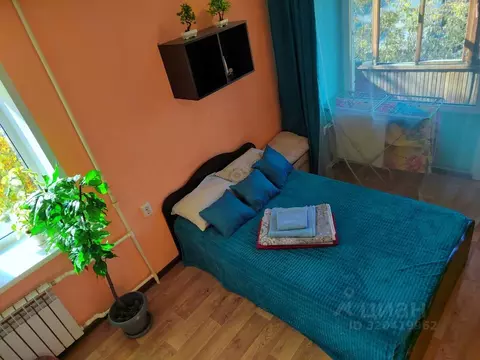 1-к кв. Алтайский край, Барнаул Деповская ул., 29 (17.0 м)