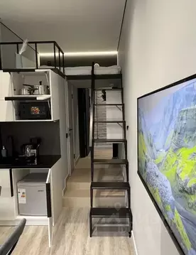 Студия Санкт-Петербург ул. Чехова, 4Б (16.0 м)