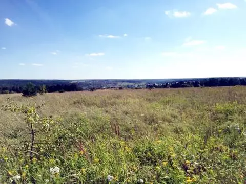 Участок в Калужская область, Тарусский район, д. Похвиснево  (5.5 га.)
