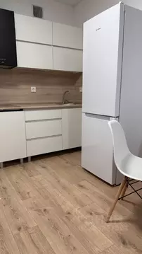 1-к кв. Ленинградская область, Всеволожский район, д. Новое Девяткино ...