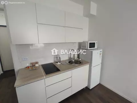 Квартира-студия: Санкт-Петербург, Пейзажная улица, 24к3 (21.1 м)