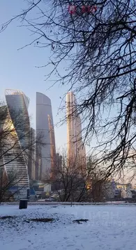 1-к кв. Москва Кутузовский просп., 22 (35.0 м)