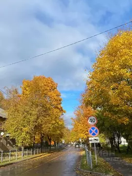 1-к кв. Ленинградская область, Кировск ул. Горького, 10 (30.2 м)