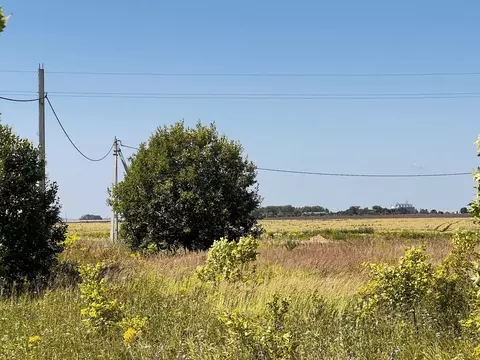 Участок в Владимирская область, Суздальский район, Селецкое ...