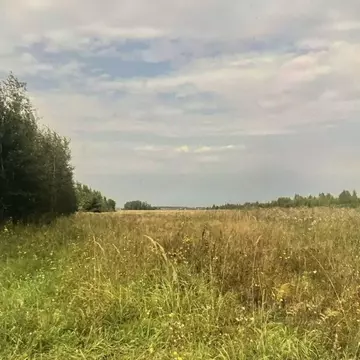 Участок в Тверская область, Калининский муниципальный округ, д. Курово ...