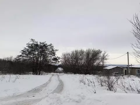 Участок в Курская область, Курский район, Щетинский сельсовет, д. ...