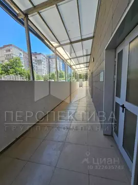 Помещение свободного назначения в Краснодарский край, Новороссийск ул. ...