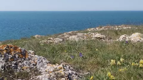 Участок в Крым, Ленинский район, Мысовское с/пос, с. Семеновка ул. ...