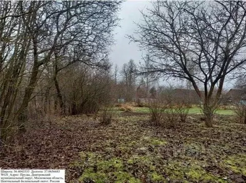 Участок в Московская область, Дмитровский муниципальный округ, д. ...