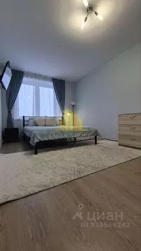 1-к кв. Санкт-Петербург Пискаревский просп., 25к2 (32.5 м)