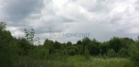 Участок в Нижегородская область, Богородский муниципальный округ, д. ...