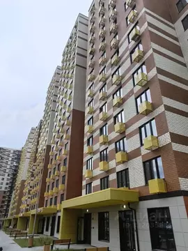 Студия Московская область, Балашиха ул. Дмитриева, 7 (23.6 м)