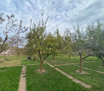 Участок в Ростовская область, Аксайский район, Большелогское с/пос, ...