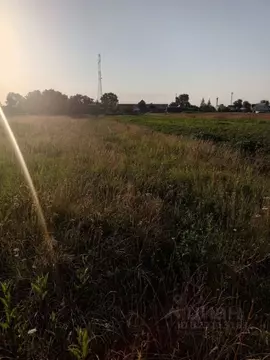 Участок в Тамбовская область, Тамбовский муниципальный округ, с. ...