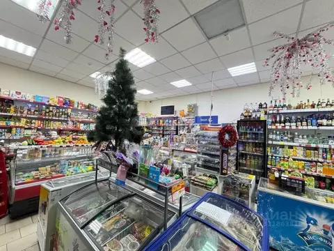 Торговая площадь в Свердловская область, Талица Ромашковая ул., 5 (86 ...