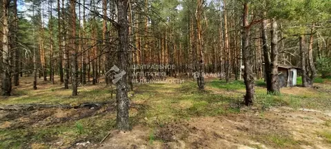 Участок в Рязанская область, Спасский муниципальный округ, д. ...