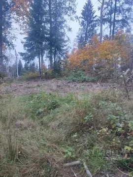 Участок в Ленинградская область, Всеволожский район, Агалатовское ...